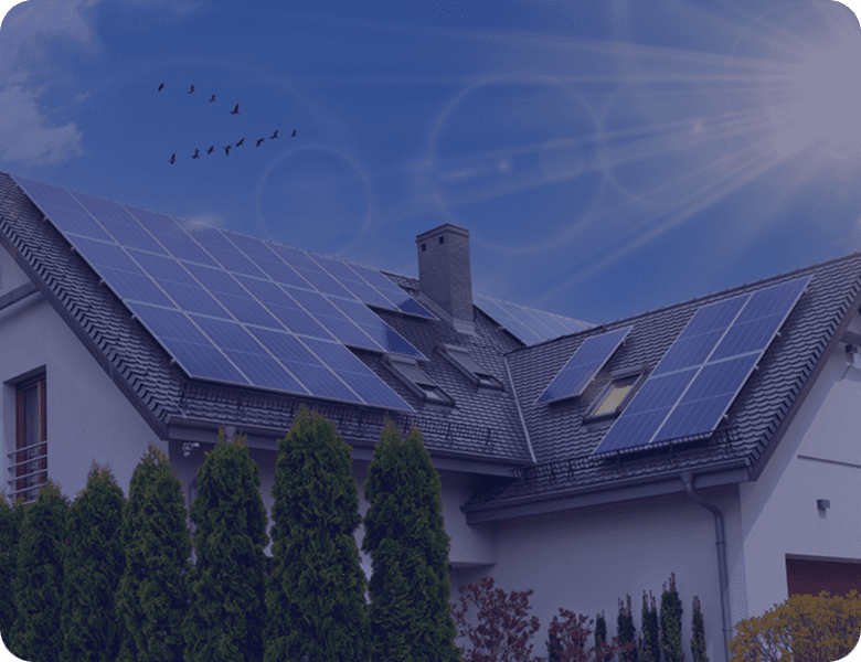 Tripower Solar renewable energy team in Islamabad and Rawalpindi
